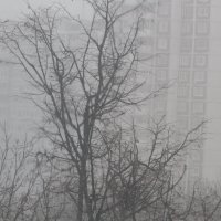 Зимняя песня метели :: олег свирский 