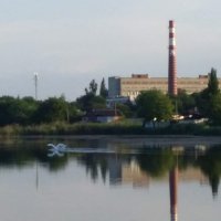 Лебеди ❤️ :: Слава Коломойцев Лебеди ❤️ :: Слава Коломойцев