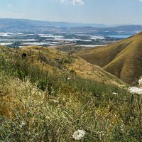 К юго-востоку от Кинерета :: Eugene *