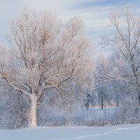 «Белая магия». :: Екатерина Счасная