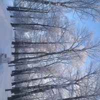 Зима :: Сапсан 