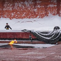 "Вечный огонь. Ни смотря ни на что"© :: Владимир Макаров