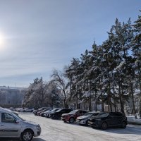 Снежок :: Андрей Хлопонин