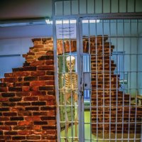 Привет! :: arkadii 