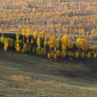 Уголок осени :: Сергей Герасимов
