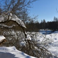 Московская область. Федоскино. :: Наташа *****