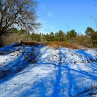 Ростов-на-Дону. Курган Тихая Сопка в феврале. :: Пётр Чернега