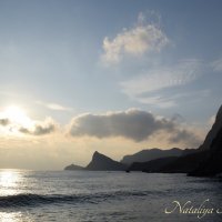 Природа Крыма :: Amazing Cosmea