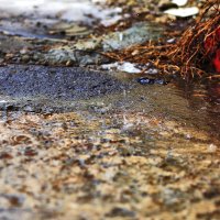 Скоро весна! :: Юрий Гайворонскiий Скоро весна! :: Юрий Гайворонскiий