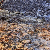 Каплет с крыши :: Юрий Гайворонскiий