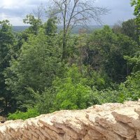 Рамонь :: Елена Шаламова