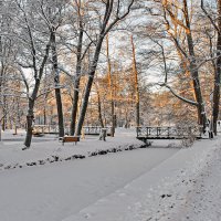 Зимний уют :: Alexandеr P