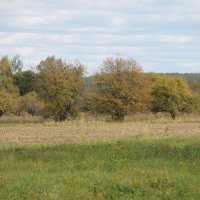 ПЕЙЗАЖ СЕНТЯБРЯ... :: Валентина 