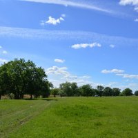 Весна. :: Виктор 