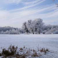 Озеро Лесное, Калининград :: Рита Симонова