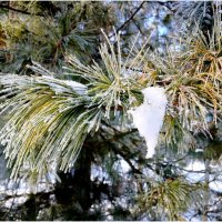 Февральская зарисовка :: Лия ☼ Февральская зарисовка :: Лия ☼