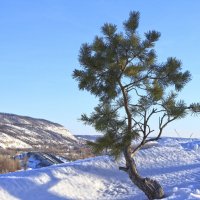 ... :: Валерий 