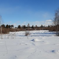 Ясным днём :: Галина Минчук