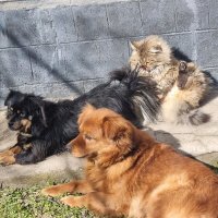 Февральское солнышко :: Наталья 