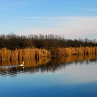 Тишина. :: Владимир 