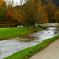 Прогулка по Лихтенталер аллее :: Юрий. Шмаков