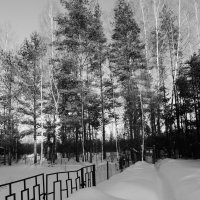 Мечты о ч/б Лейке 1. :: Михаил Елочкин