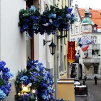 Небольшая улица в центре Старого города :: Aida10 