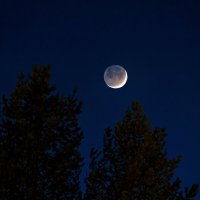 Красота юного... месяца над тайгой) :: Николай Зиновьев