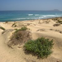 На острове Сан-Висенте, Кабо-Верде. :: unix (Илья Утропов)