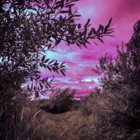 без названия :: fogmeadowww m