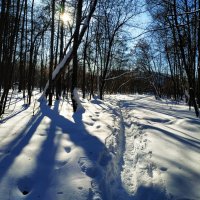 Провожаю зиму. С Масленицей, друзья! :: Андрей Лукьянов