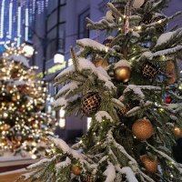 ёлочные украшения :: Галина R...