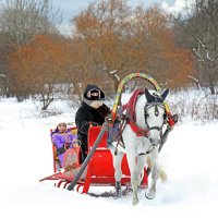 Масленица 21 февраля в Коломенском :: Михаил Бибичков