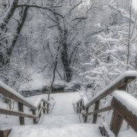 Спуск к речке. :: Владимир Владимир