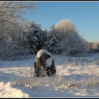 *** :: Aleksandr Gal