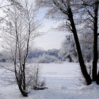 Зимний пейзаж :: Рита Симонова