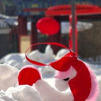 Рождение красного коня :: ИРЭН@ .