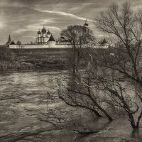 Половодье :: Владимир Гришин