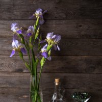 Ирисы :: Владимир Гришин