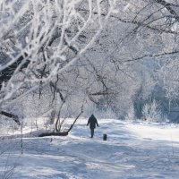*** :: Владимир Безбородов