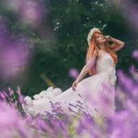 сны лаванды :: ufoto16©photography ufoto16©photography