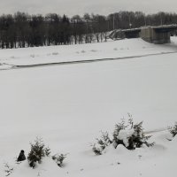 "...белым снегом..." :: Olga Oskolkova