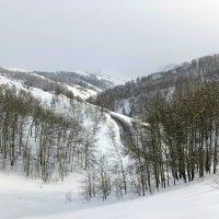 Осиновский перевал  в Восточном Казахстане . :: Мила Бовкун