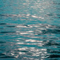 Солнечные блики на воде :: fogmeadowww m