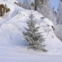 ****** :: Вячеслав Овчинников