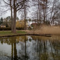 *** :: Николай Гирш