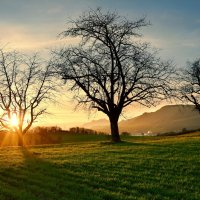 sunset :: Elena Wymann