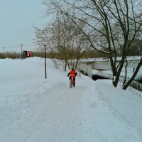 Покатушки. :: Наталья Вязигина