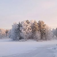 морозный день.... :: Ольга Cоломатина