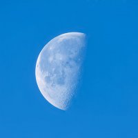 дневная луна :: Laryan1 